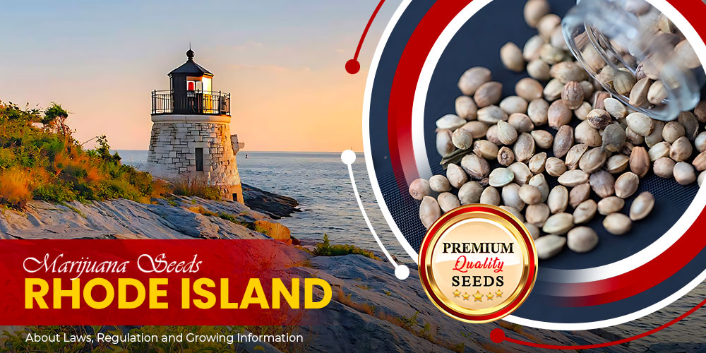 marijuana seeds rhode island